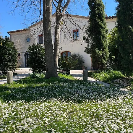 San Pietro Fuori Le Mura Cagli